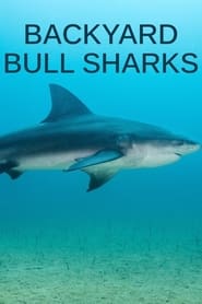 Backyard Bull Sharks' Poster