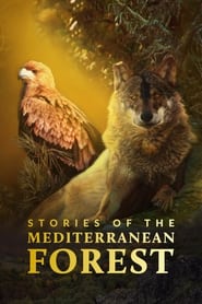 Stories of the Mediterranean Forest' Poster