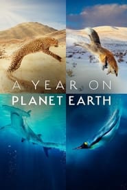 Streaming sources forA Year on Planet Earth