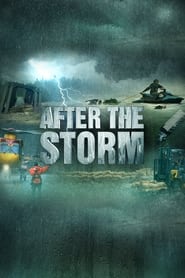 After the Storm' Poster