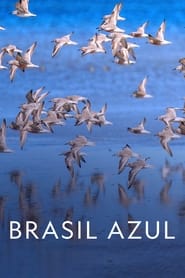 Brasil Azul' Poster