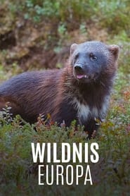 Wildnis Europa' Poster