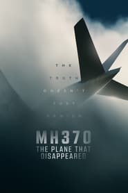 MH370 The Plane That Disappeared Poster