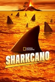 Sharkcano' Poster