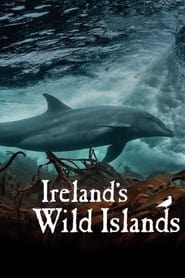 Irelands Wild Islands' Poster