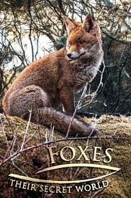 Foxes Their Secret World' Poster