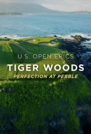 US Open Epics Tiger Woods Perfection at Pebble Beach