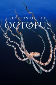 Streaming sources forSecrets of the Octopus