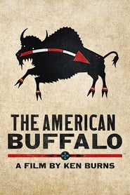 The American Buffalo' Poster