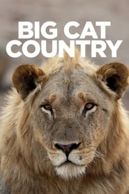 Big Cat Country' Poster