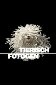 Tierisch fotogen' Poster