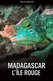 Unknown Madagascar' Poster