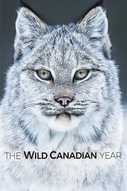 The Wild Canadian Year' Poster