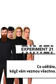 Experiment 21' Poster