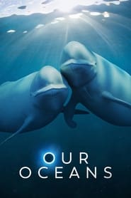 Our Oceans' Poster