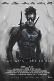 Nightwing The Series