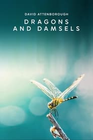 Dragons  Damsels' Poster