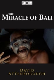 The Miracle of Bali' Poster