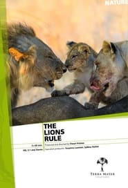 The Lions Rule' Poster