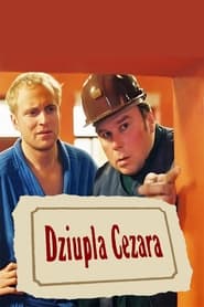 Dziupla Cezara' Poster