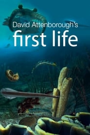 First Life' Poster