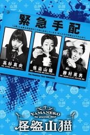 The Mysterious Thief Yamaneko' Poster