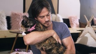 EXCLUSIVE Watch Ian Somerhalder Play With Cute Kittens and Talk Kedi With Director Ceyda Torun