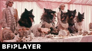 Mark Kermode reviews The Company of Wolves 1984  BFI Player