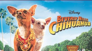 Beverly Hills Chihuahua 2008 Disney LiveAction Film