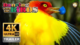 DANCING WITH THE BIRDS 2019 Official Trailer 4K Ultra HD Documentary Netflix  Future Movies