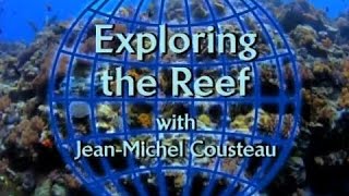Exploring the Reef with JeanMichel Cousteau