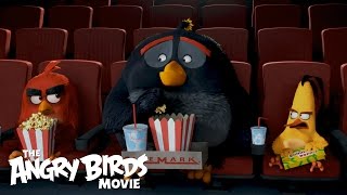 The Angry Birds Movie  The Flock Visits Cinemark