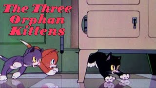 Three Orphan Kittens 1935 Disney Silly Symphony Cartoon Short Film