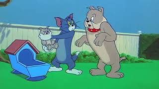 Tom and Jerry 82 Episode  Hiccup Pup 1954