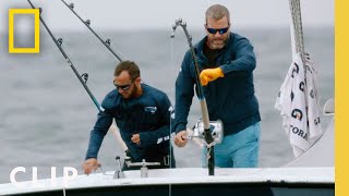 Captain Cook Snags a Big Tuna  Wicked Tuna  National Geographic