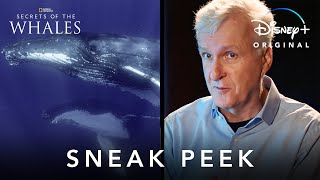 James Cameron Sneak Peek  Secrets of the Whales  Disney