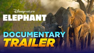 Elephant 2020  Featurette  Disneynature