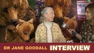 Bears 2014 Interview with Dr Jane Goodall for Disneynature  Beyond The Trailer