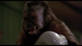 Monkey Shines 1988 Bathtub Death Scene