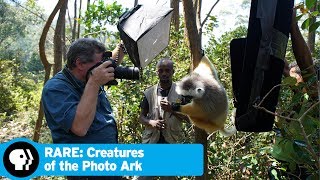 RARE CREATURES OF THE PHOTO ARK  Official Trailer  PBS