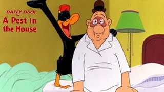 A Pest In the House 1947 Merrie Melodies Daffy Duck and Elmer Fudd Cartoon Short Film