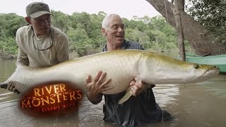 Incredible REEL TIME Arapaima Catch  ARAPAIMA  River Monsters