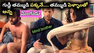 my blind brother 2016 hollywood movie explained in telugu  movie playtime telugu