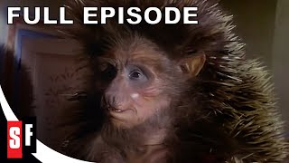 The Storyteller Season 1 Episode 1  Hans My Hedgehog  Full Episode