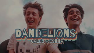 Dandelions Caleb  Estha  Three Months