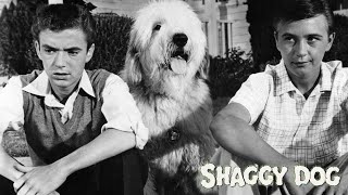 The Shaggy Dog 1959 Disney Film  Tommy Kirk Kevin Corcoran