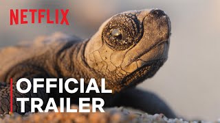 OUR PLANET II  Official Trailer  Netflix