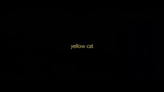 Trailer l BIFF2020   Yellow Cat l   