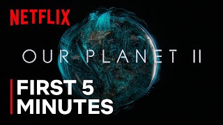 Our Planet II  The First 5 Minutes  Netflix