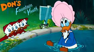 Dons Fountain of Youth 1953 Disney Donald Duck  Cartoon Short Film